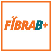 link fibra 1 giga