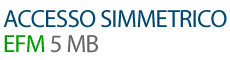 Accesso simmetrico EFM 5 mega